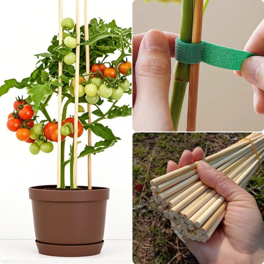 100 PCS 3FT Bamboo Plant Stakes, 6.3mm Thick Bamboo Stakes