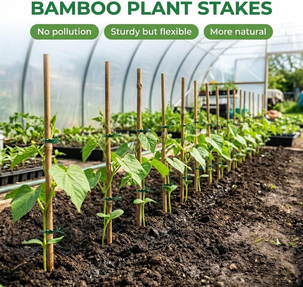 Plant Stakes Natural Bamboo Sticks - 30 Pcs Bamboo Garden Stakes for Plants 4...