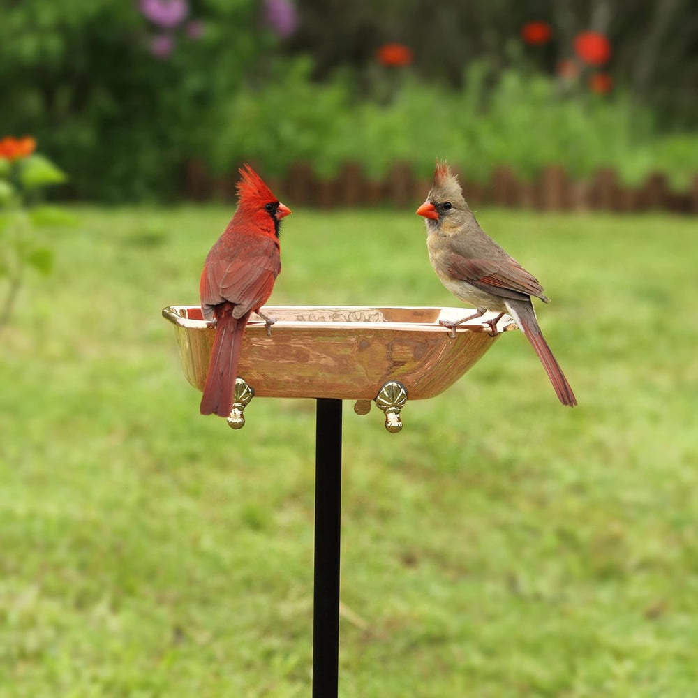 Pure Copper Bird Bath, Featuring Clawfoot Bathtub Design - Polished Copper by...