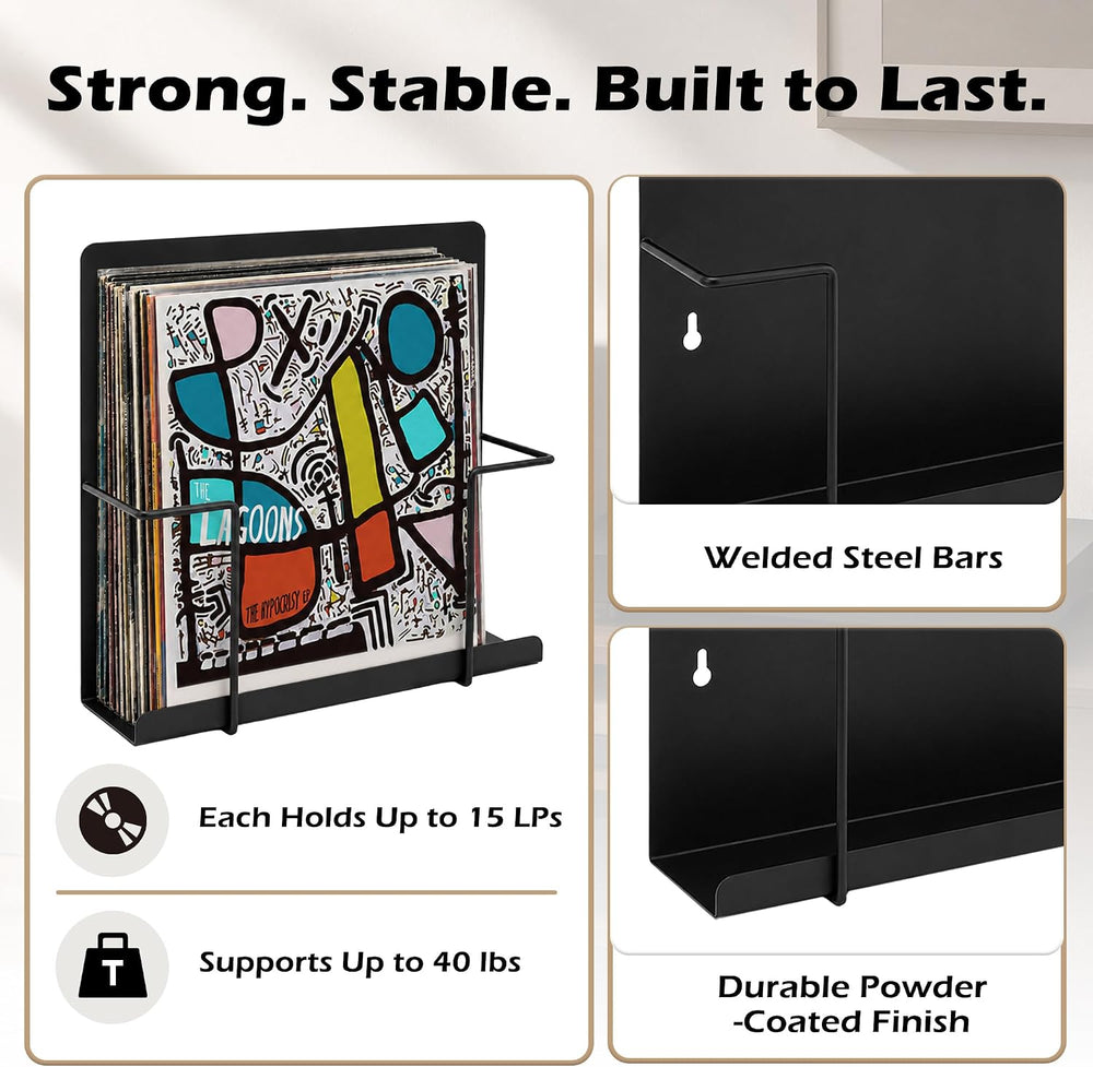 Vinyl Record Holder Wall Mount, 2 Pack Metal LP Storage Display Rack, Black