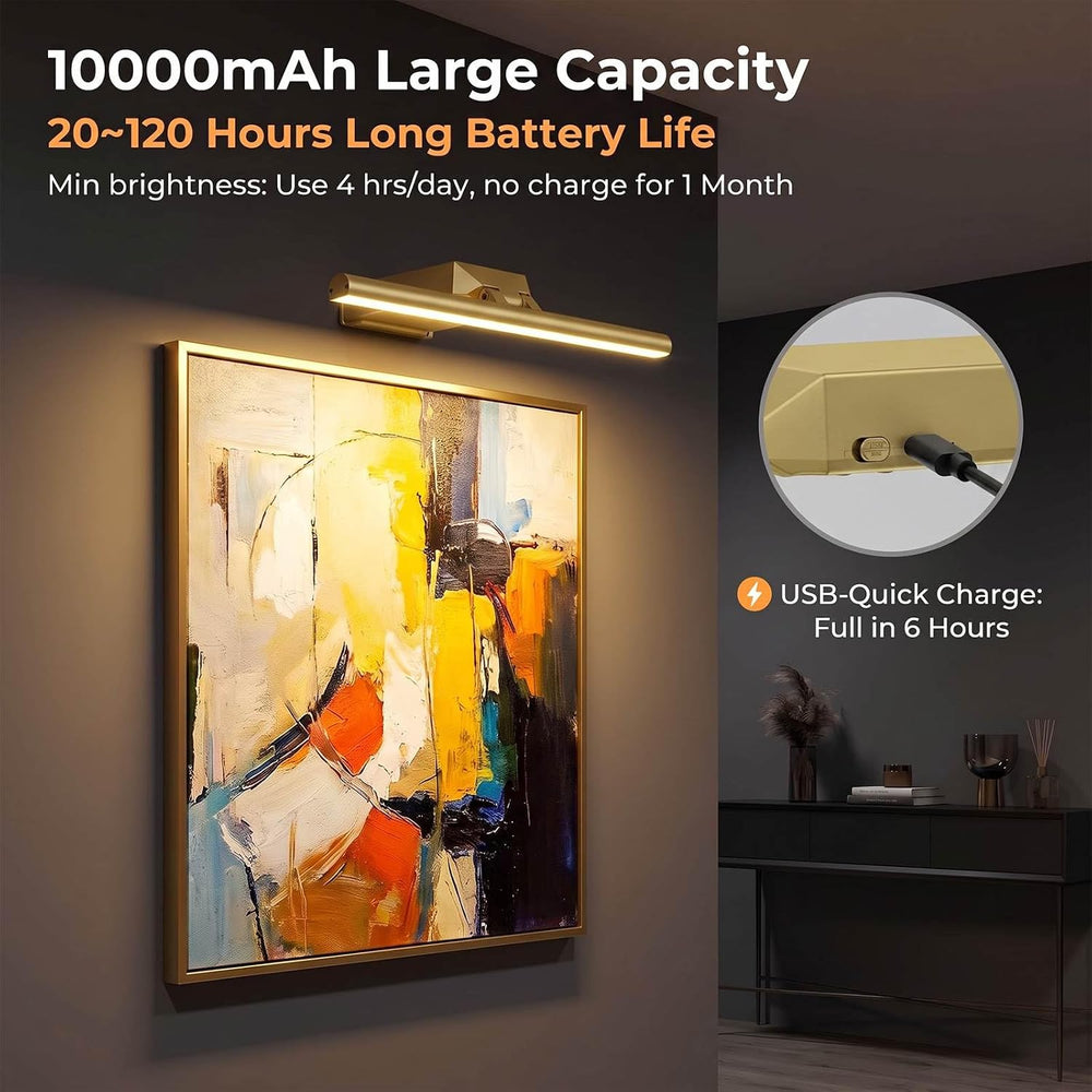 16" Picture Lights for Wall - 10000mAh Rechargeable Art Light