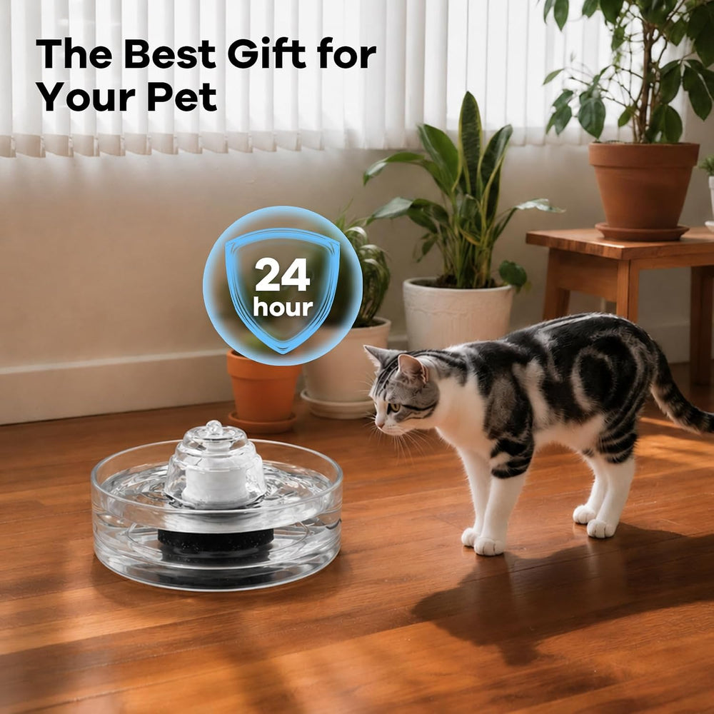 2.7L/91oz Glass Cat Water Fountain,Glass Water Fountain for Small Cats & ...