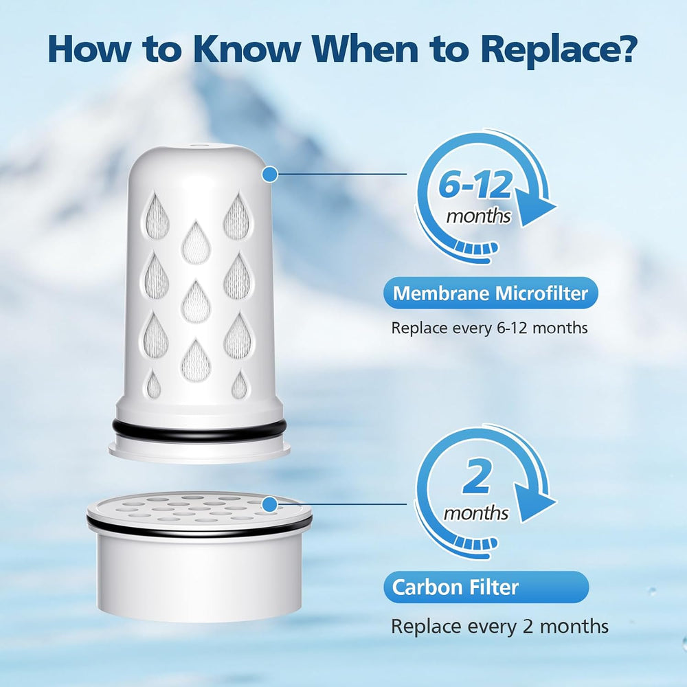Water Pitcher Filter Replacement for LifeStraw Home, 7 Pack Water Filter