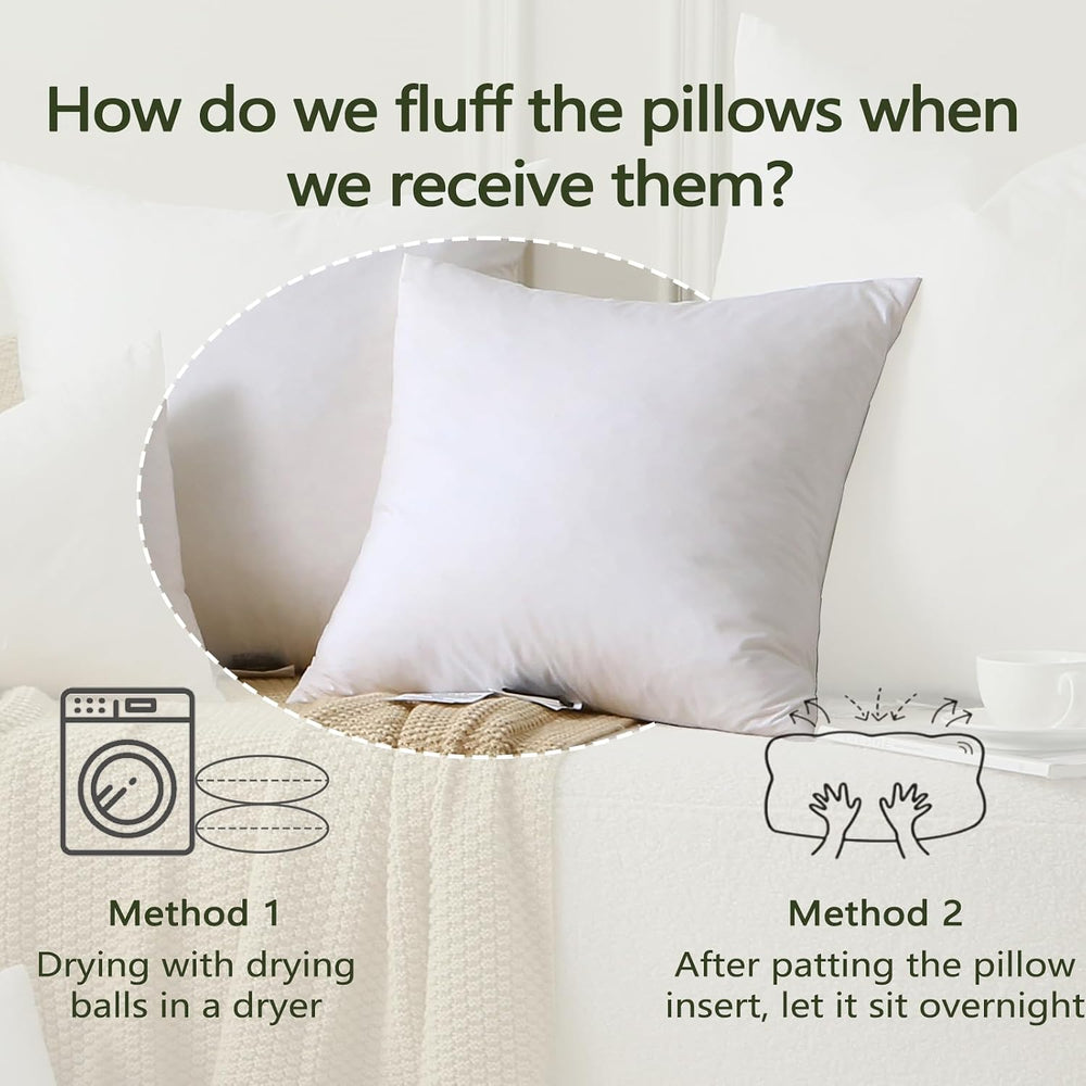 DWR Feather Down Throw Pillow Inserts with Organic Cotton, 20x20, Set of 2