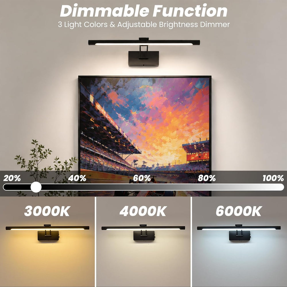 Battery Operated Picture Light for Wall,Matte Black 23.6-Inch
