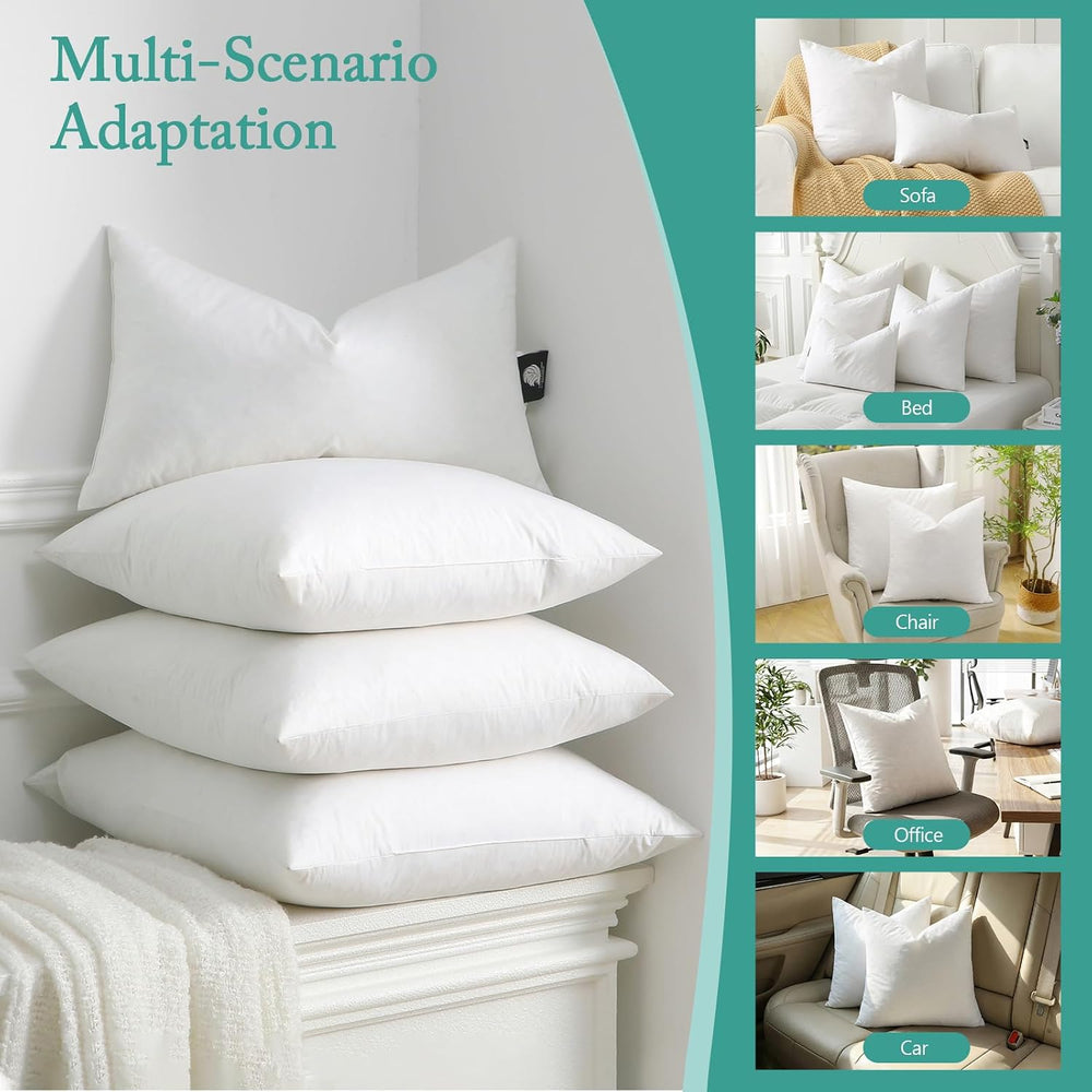 BPC Luxury Feather Down 20x20 Pillow Inserts Set of 2, Soft Fluffy Throw Pill...