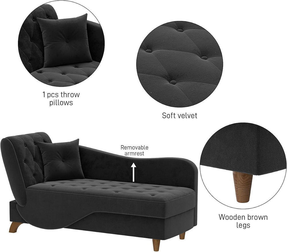 DAMAIFROM Chaise Lounge Chair Indoor with Storage,Adjustable Backrest,Black