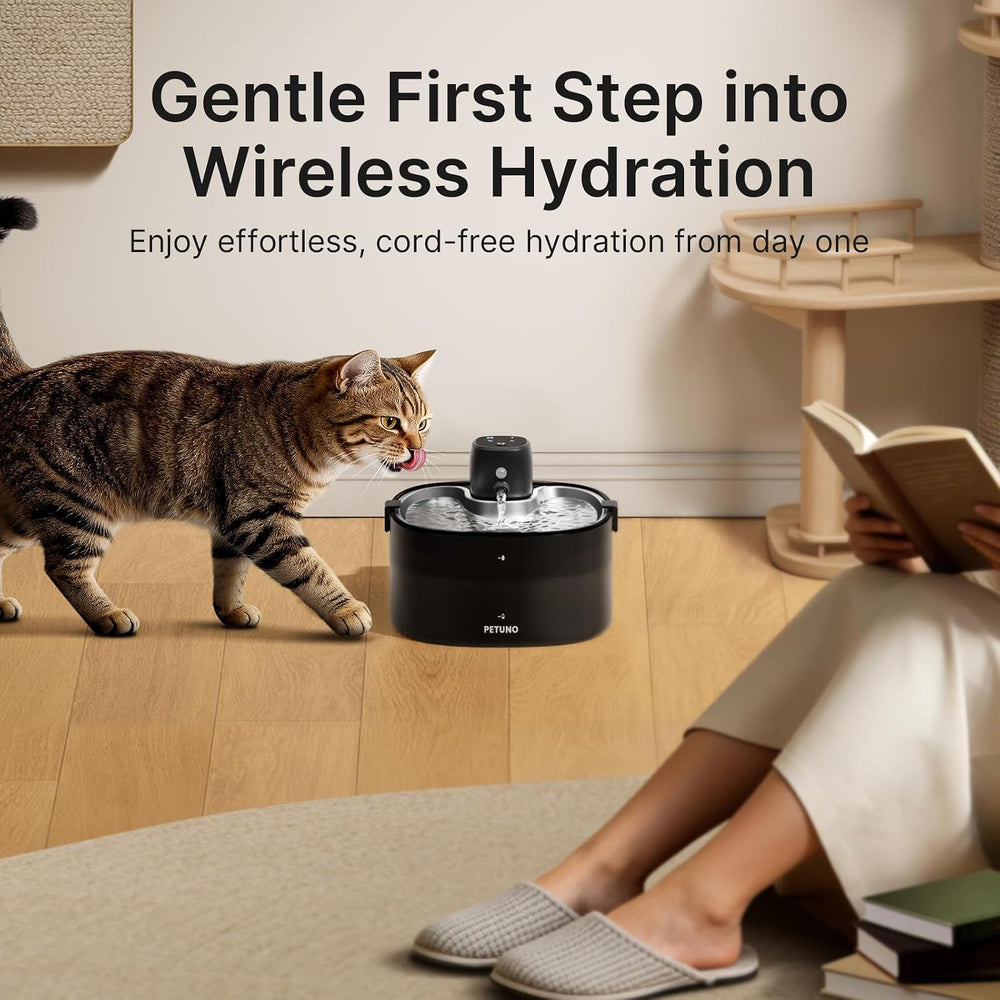 Cordless Cat Water Fountain, 78oz/2.3L, Battery Operated, Silver