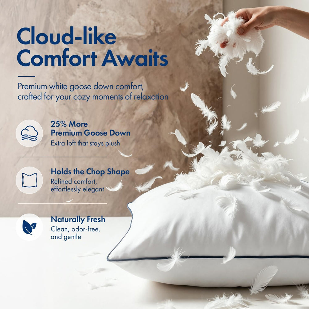 MIULEE Goose Feather Down 20x20 Pillow Insert Set of 2 with 100% Down-Proof C...