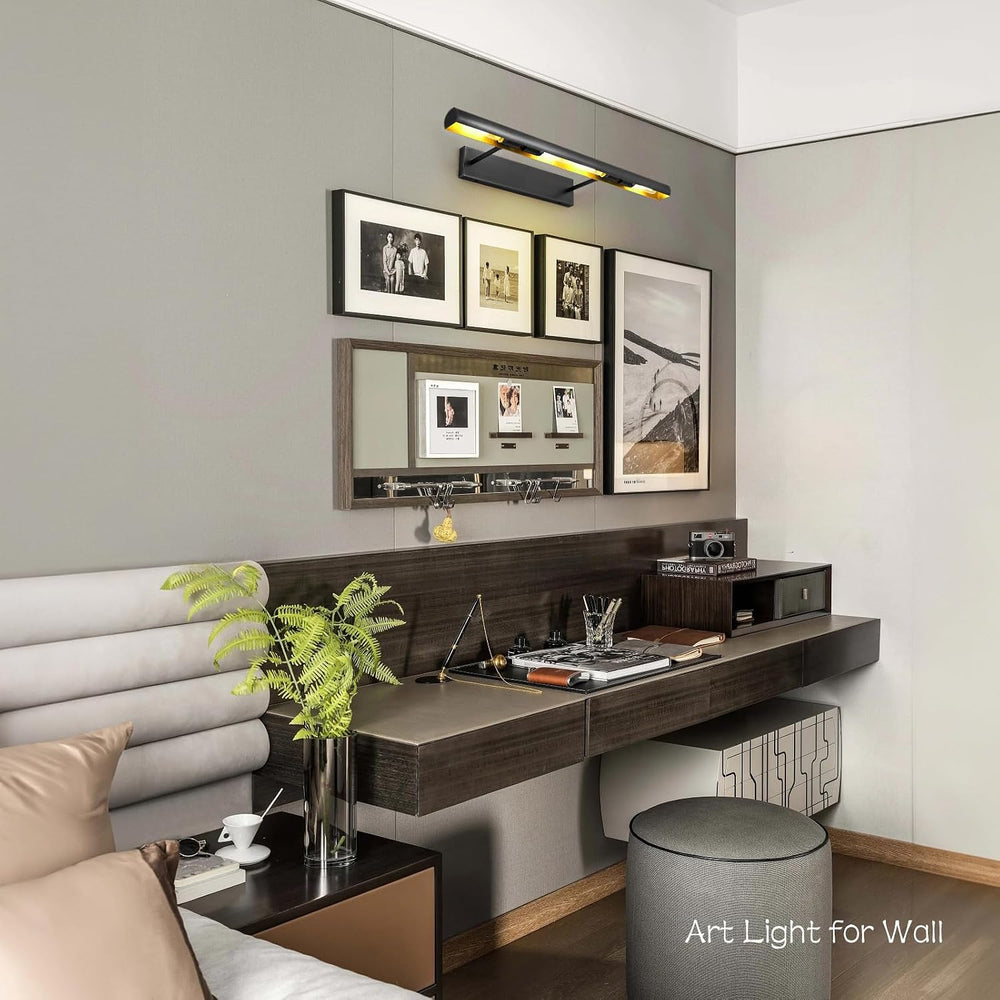 Matte Black Picture Lights for Wall, 24" Art Light Hardwired, 3-Light Br...