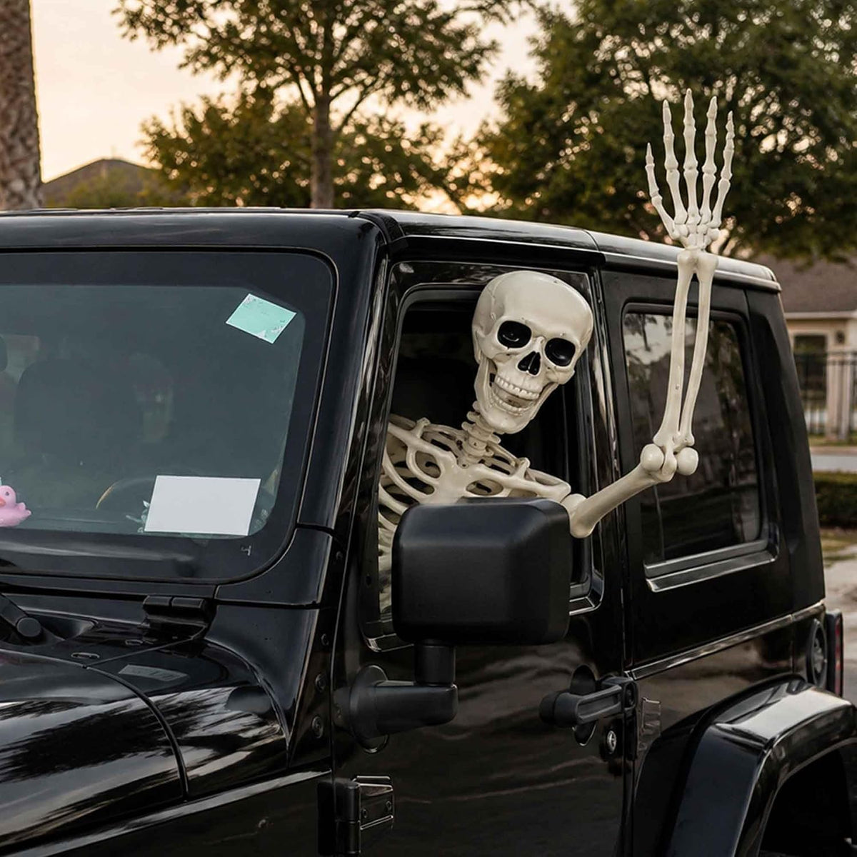 Znorso 5.4ft Halloween Skeleton - Halloween Posable Life Size Skeleton Huma Full Body Realistic Bones with Movable Joints for Halloween Outdoor Decorations