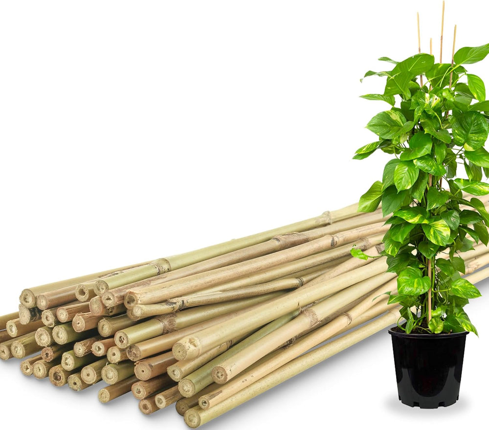 50Pcs / 4ft Bamboo Plant Stakes for Indoor Outdoor Plants, Garden Plant Suppo...