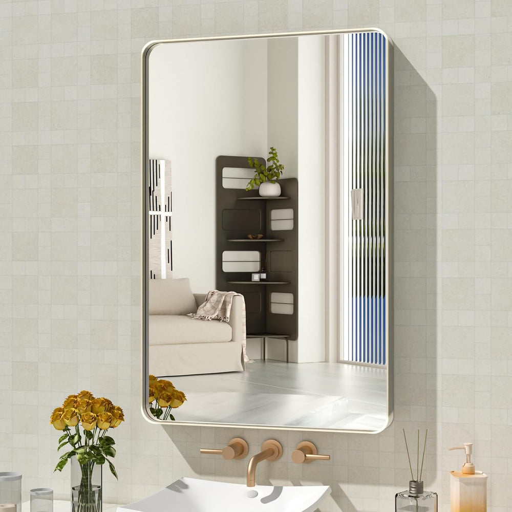 WEER Bathroom Vanity Mirror Brushed Nickel 20X30 Inch