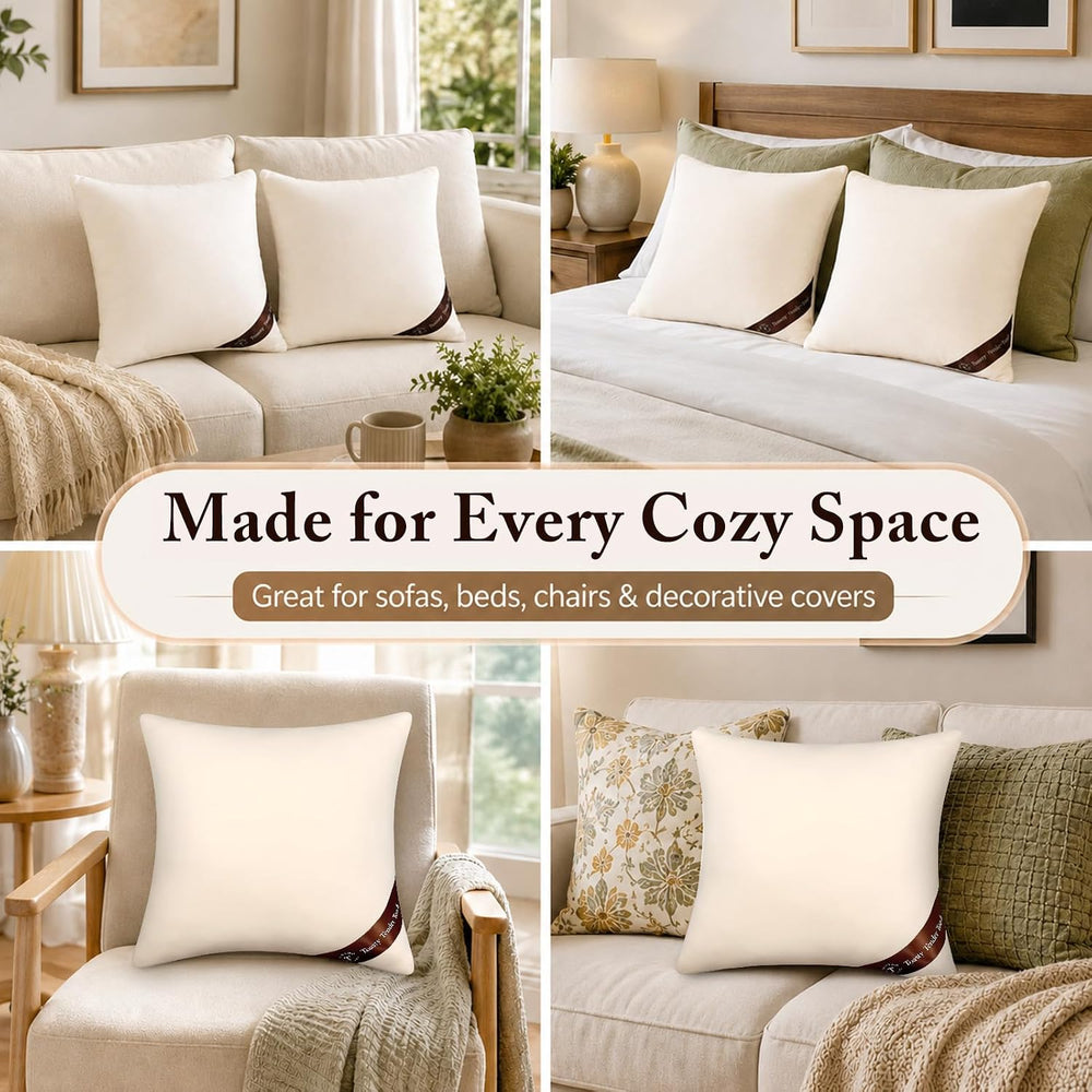 Throw Pillow Inserts 18x18, 2 Pack, Shredded Memory Foam for Couch