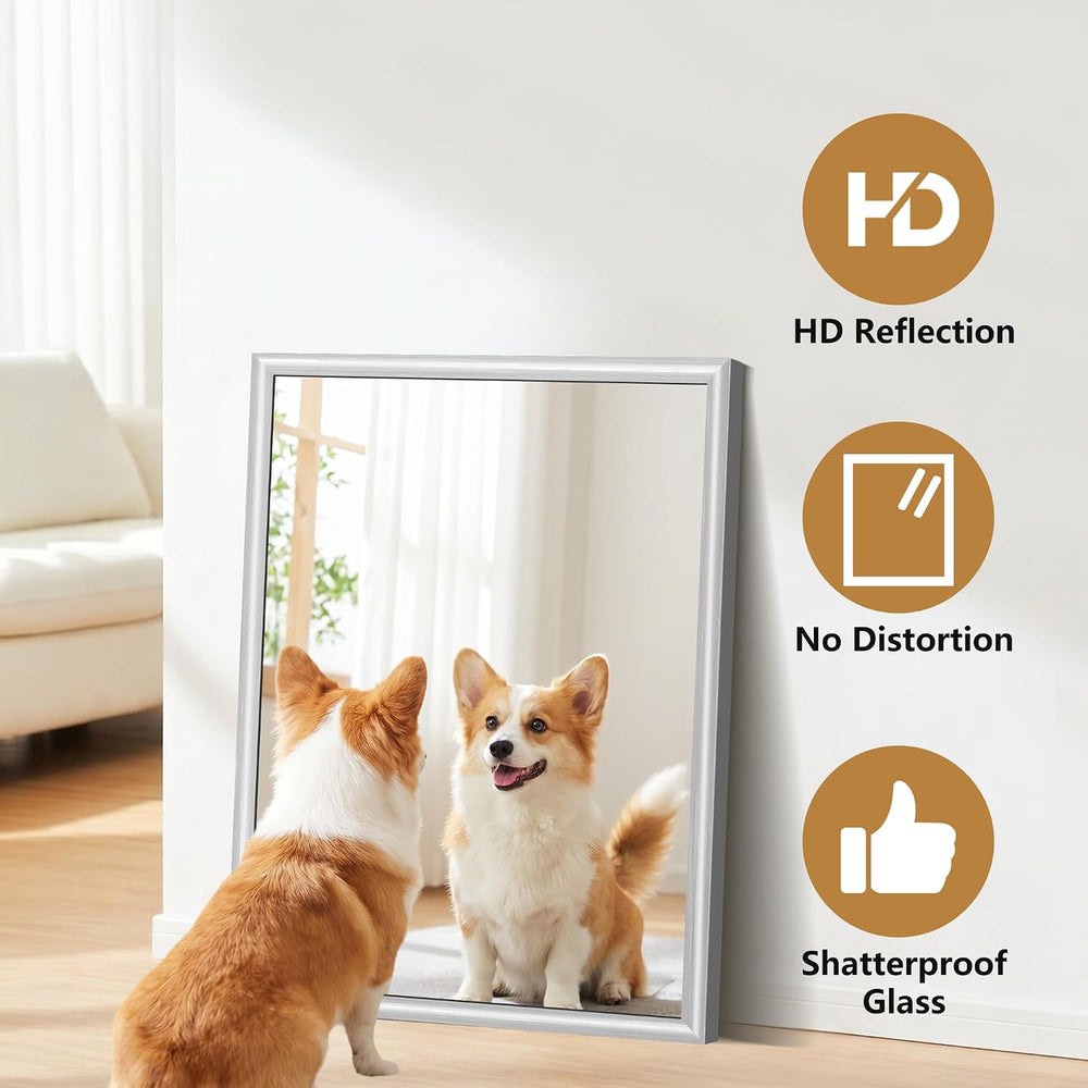FORBATH Bathroom Mirror for Over Sink, 24x30 Inch Silver Vanity Mirror