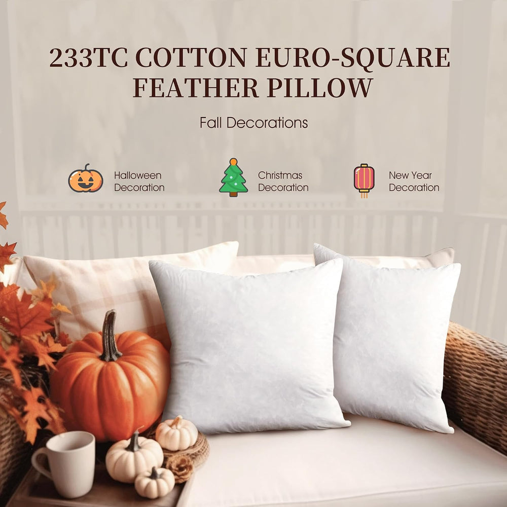 Blue Ridge Home Fashions Feather Down Pillow Square Euro Size Set of 2 Pack C...