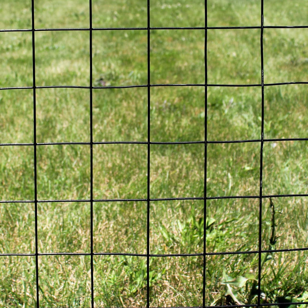 12.5ga Galvanized Steel Black PVC Coated Welded Wire 4'' x 4''...