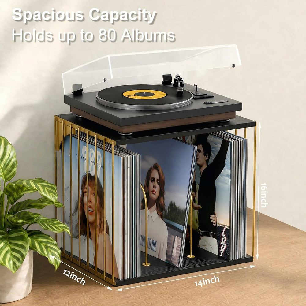 Exood Vinyl Record Storage Cube, Wall Mount Record Holder, Black & Gold