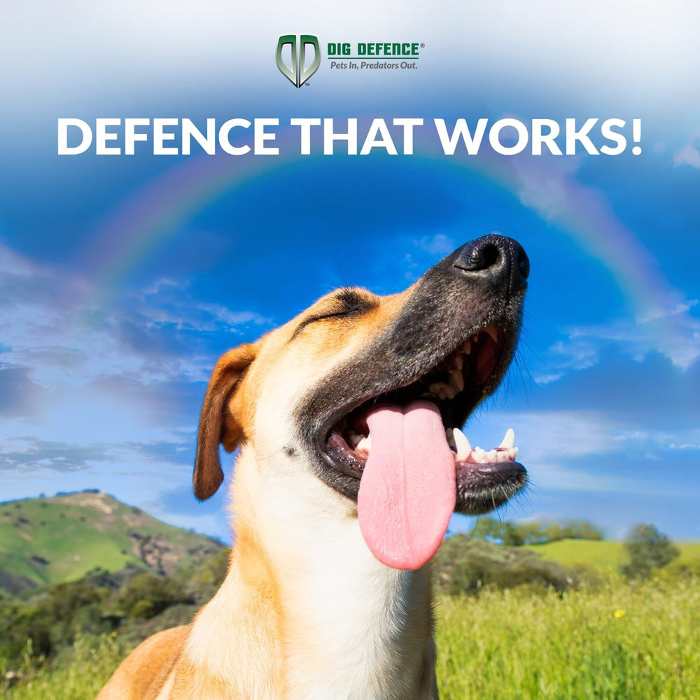 Dig Defence Original Animal Barrier Garden Fence - Large, 12 Pack
