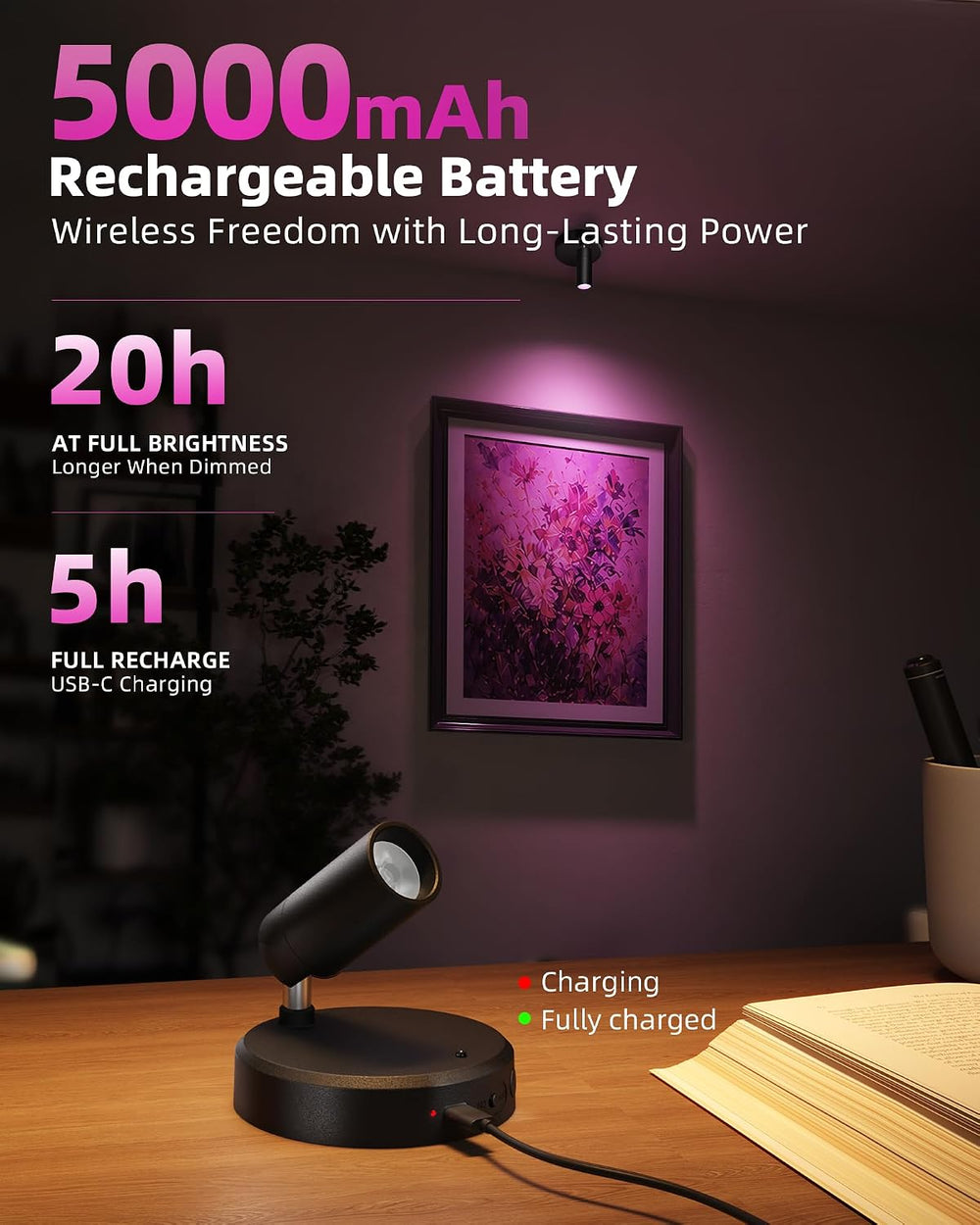 EZVALO RGB Indoor Spotlights, LED Accent Lights, Wall Decor Uplights.