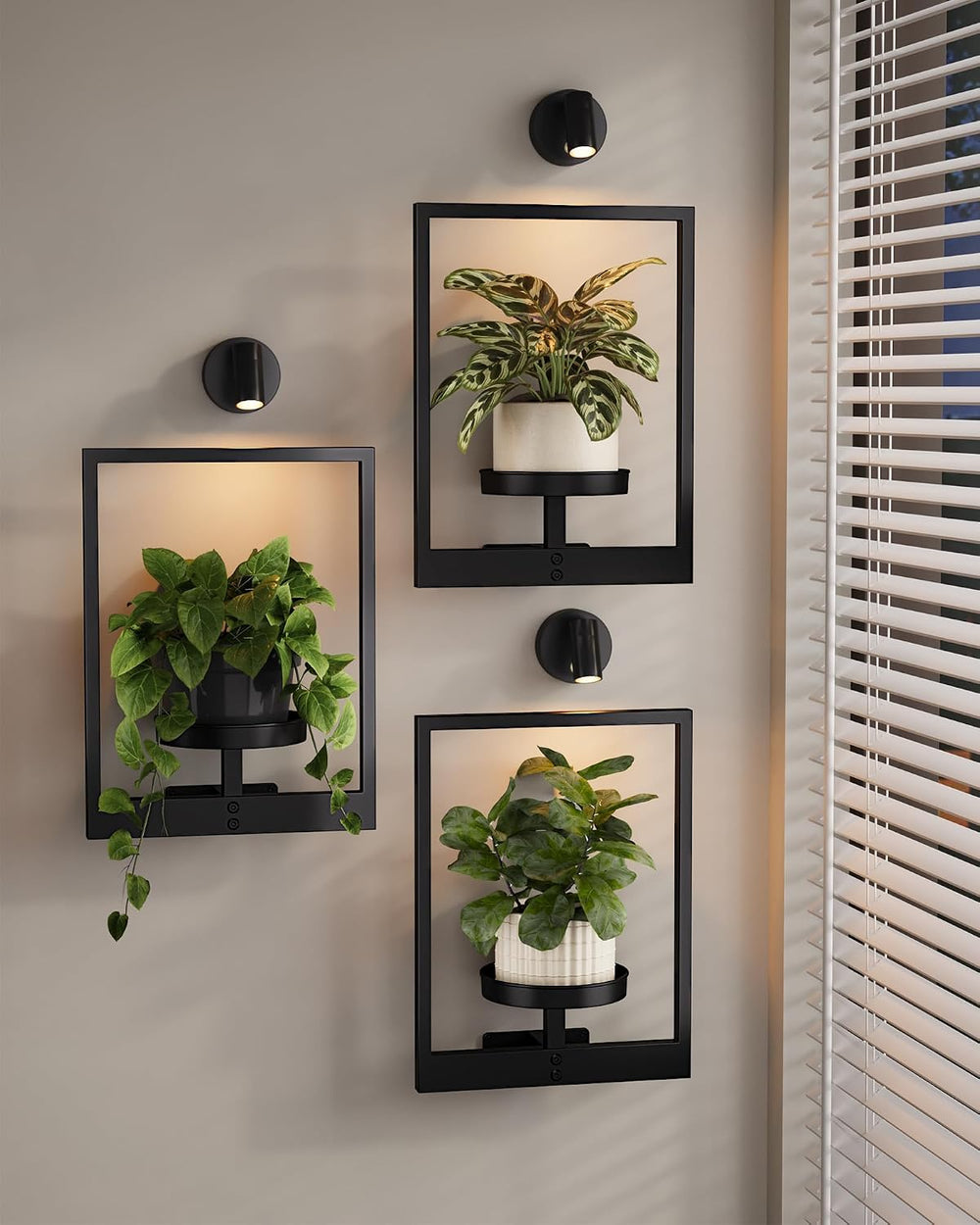 Bamworld Hanging Planters for Indoor Plants Wall Decor Living Room Light
