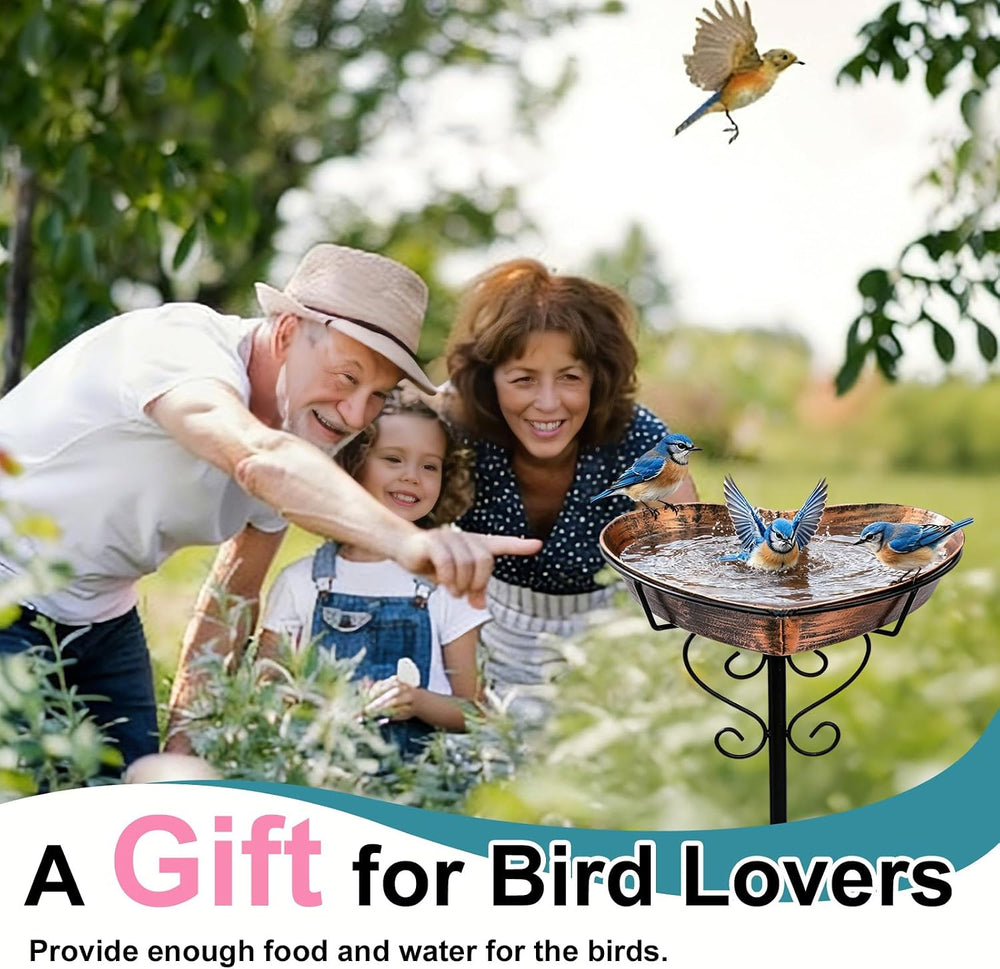 Goodeco Metal Heart Bird Bath - 2.17" Deep, 12.1" Easy-Clean Remova...