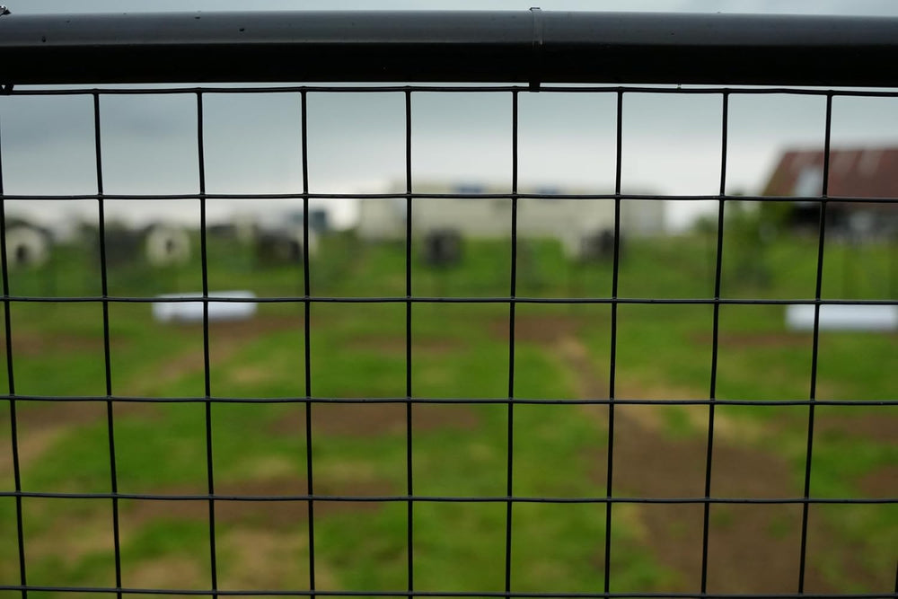 12.5ga Galvanized Steel Black PVC Coated Welded Wire 4'' x 4''...