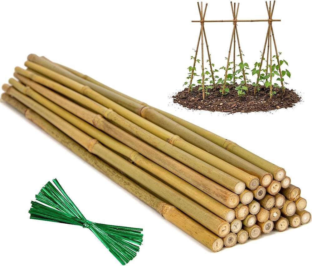 Plant Stakes Natural Bamboo Sticks - 30 Pcs Bamboo Garden Stakes for Plants 4...