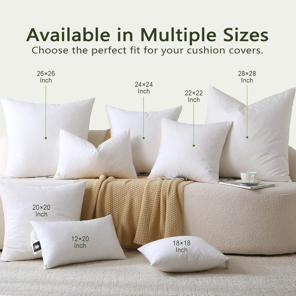 DWR Feather Down Throw Pillow Inserts with Organic Cotton, 20x20, Set of 2