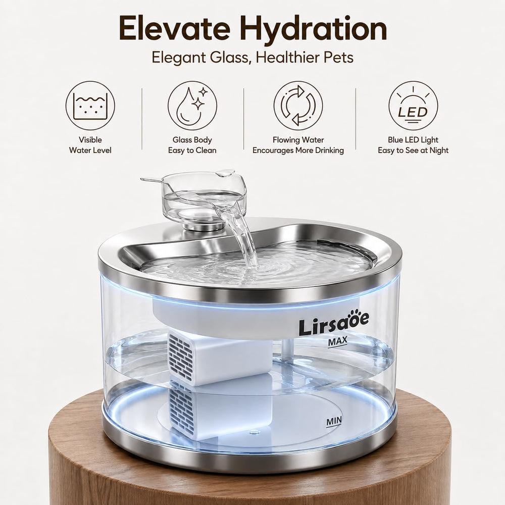 Glass Cat Water Fountain, 2 L, Stainless Steel Drinking Tray