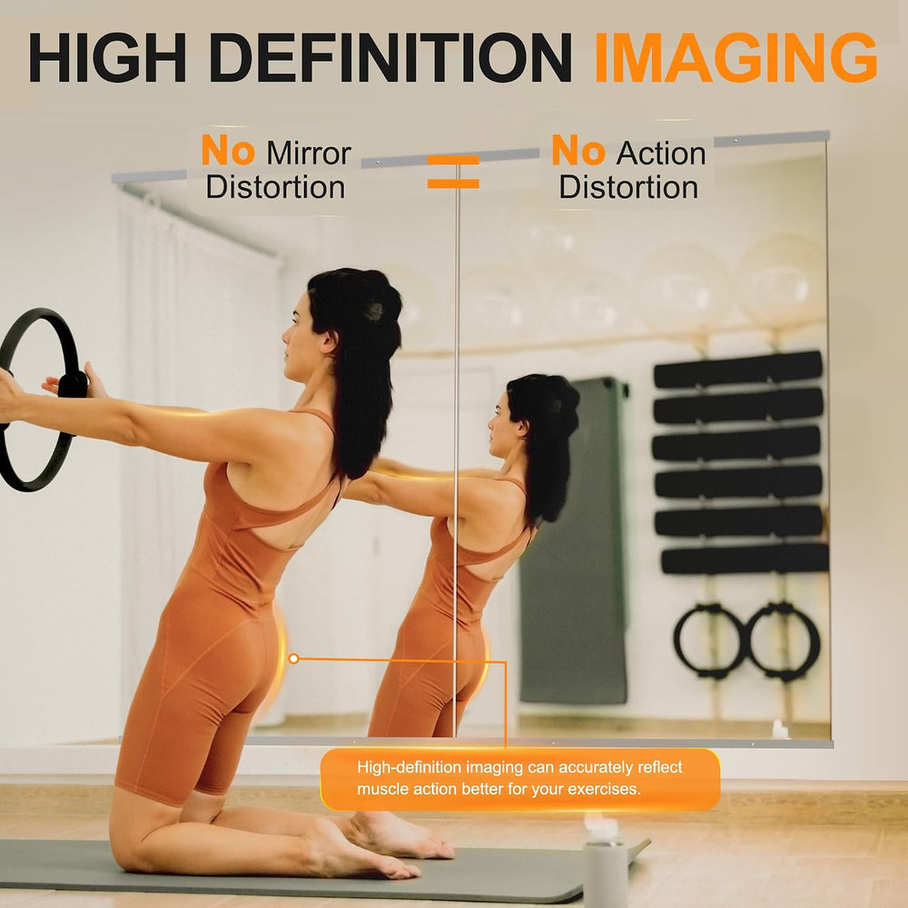Delma Home Gym Mirror, 48"x24"x2PCS, Silver