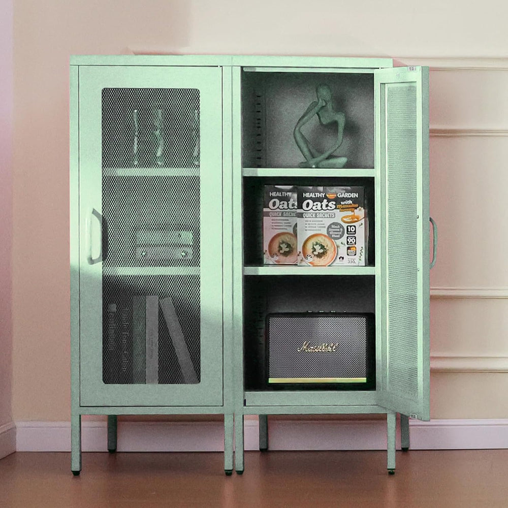 ALBAD Slim Metal Storage Cabinet with Mesh Door