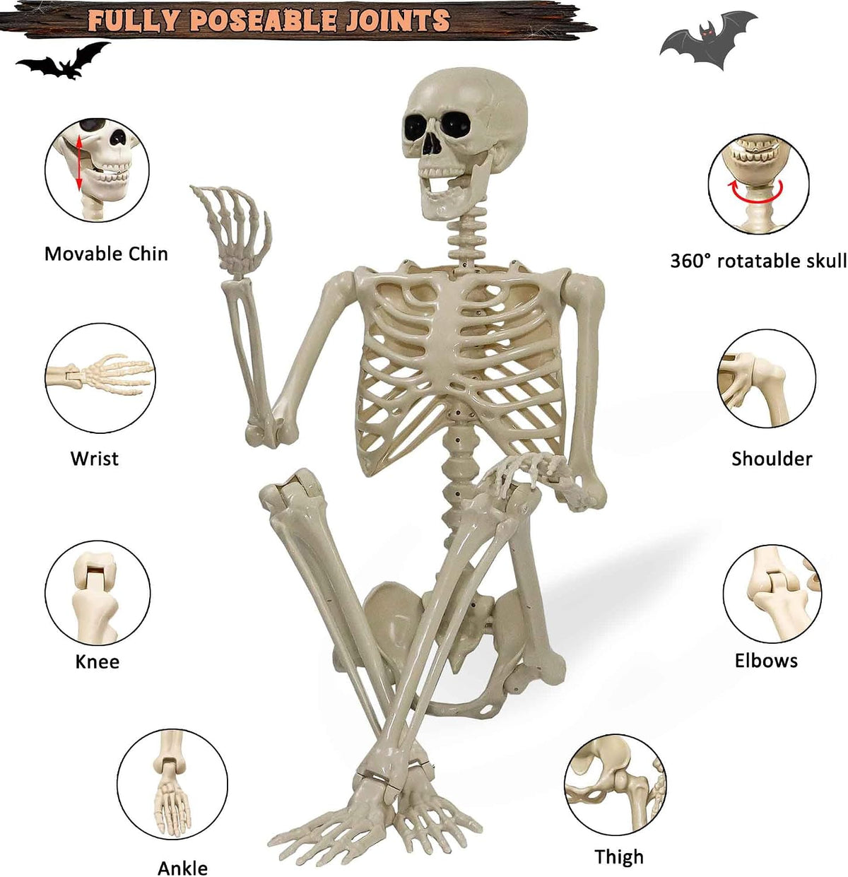 Znorso 5.4ft Halloween Skeleton - Halloween Posable Life Size Skeleton Huma Full Body Realistic Bones with Movable Joints for Halloween Outdoor Decorations