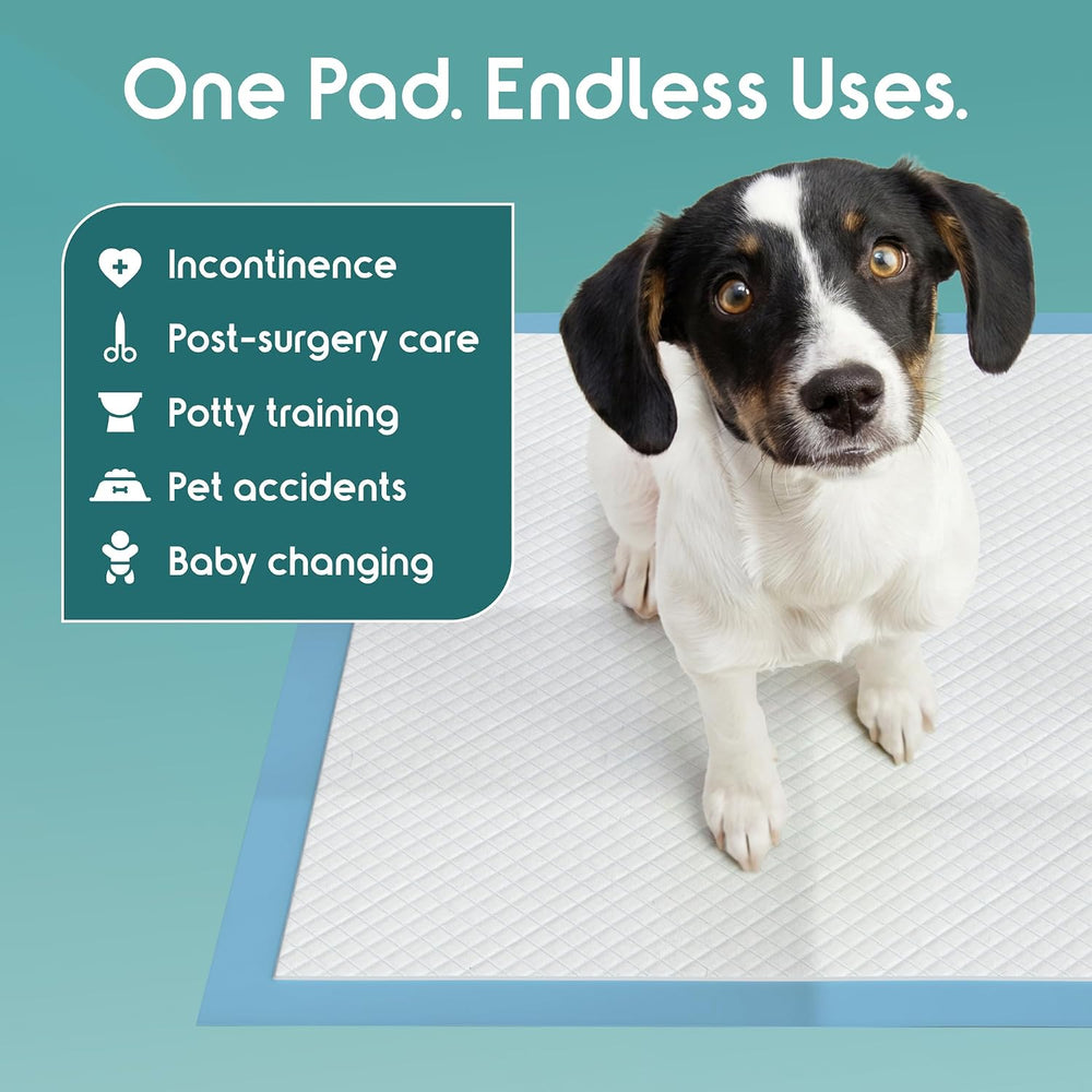 Inspire Brand Disposable Underpads Value Pack 30" x 36" Case of 50