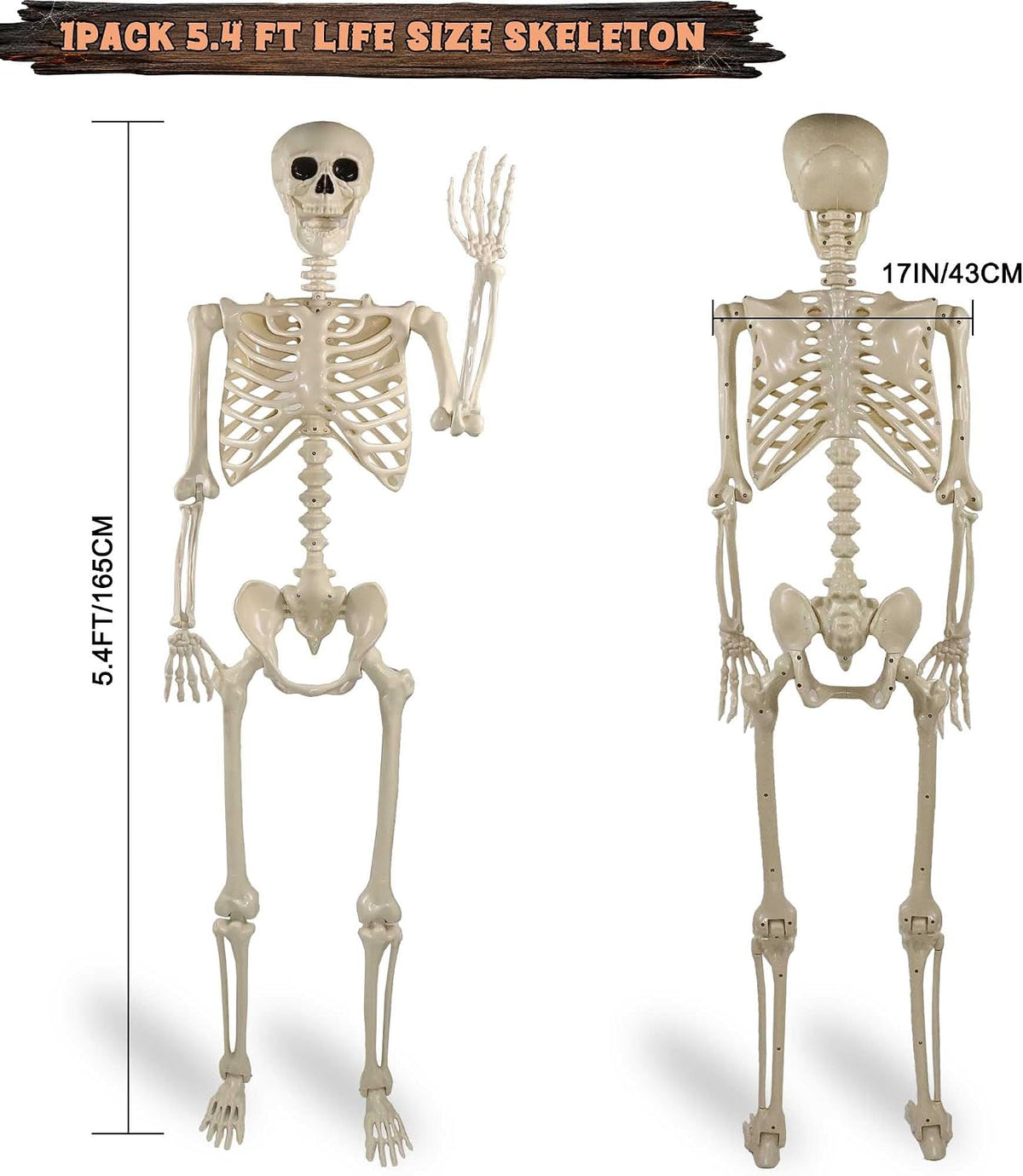 Znorso 5.4ft Halloween Skeleton - Halloween Posable Life Size Skeleton Huma Full Body Realistic Bones with Movable Joints for Halloween Outdoor Decorations