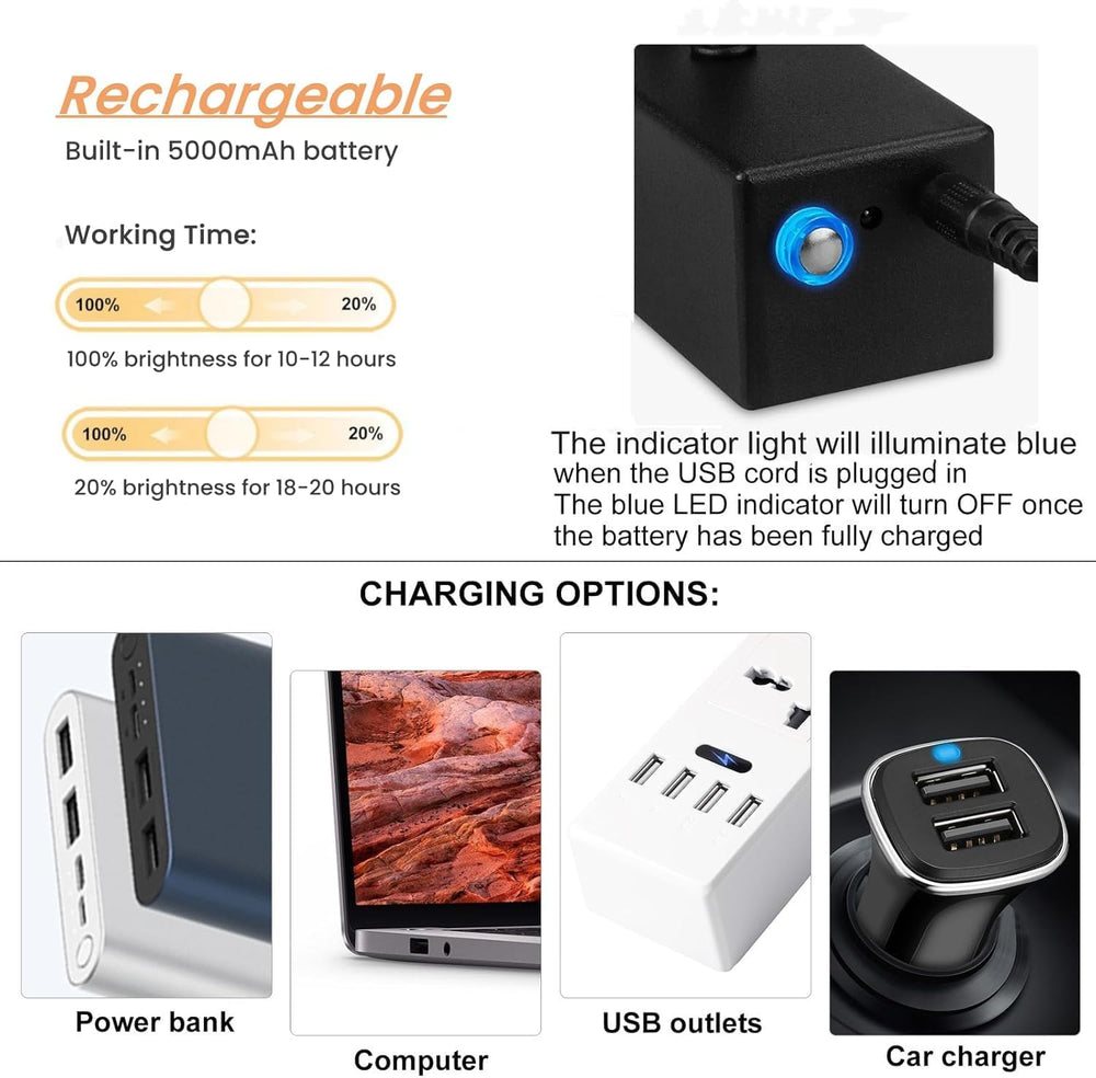 Rechargeable Picture Light with Remote, 13", Black