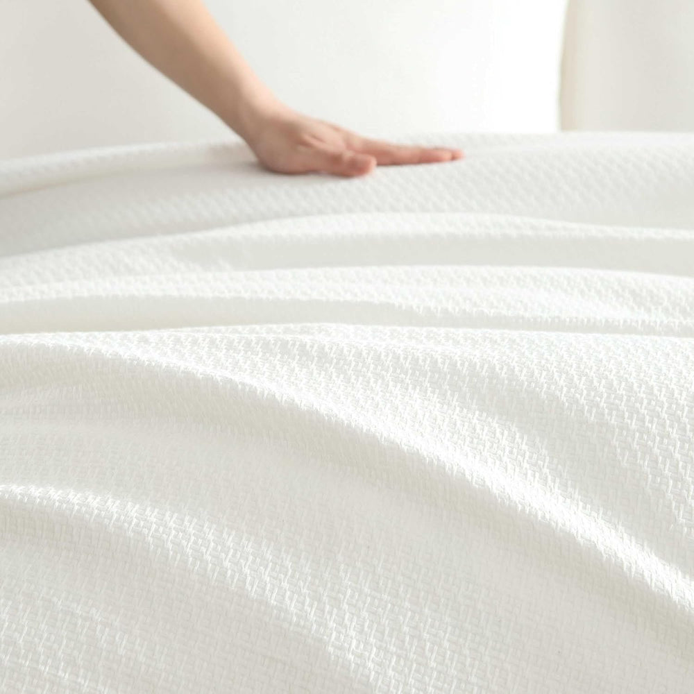 Vera Wang - Queen Size Comforter Set with Matching Shams