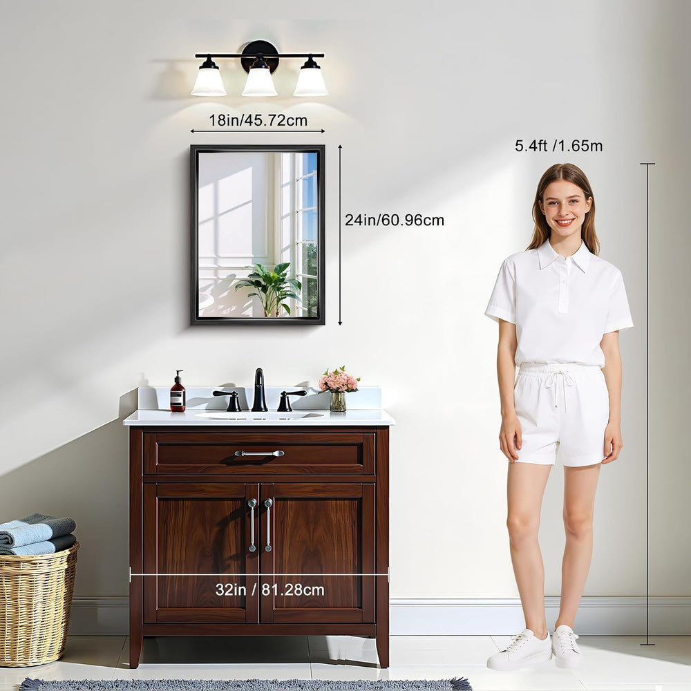 CIRCUMI 18"x24" Brushed Black Bathroom Mirror, Rectangular Vanity M...