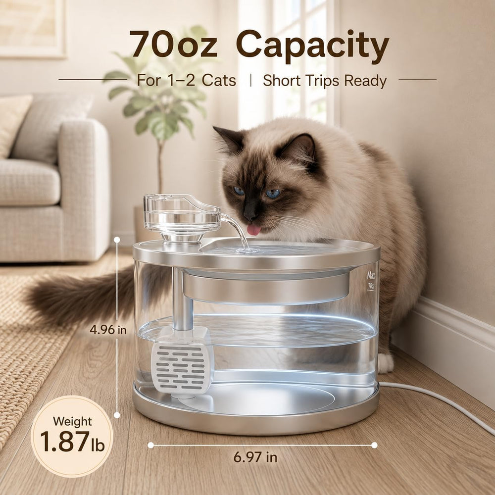Glass Cat Water Fountain, 2 L, Stainless Steel Drinking Tray