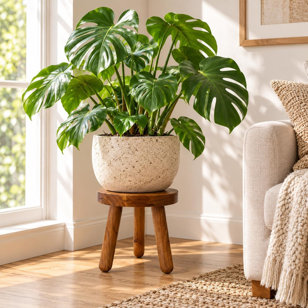 12" Teak Wood Plant Stool for Indoor Plants, Mid-Century Style