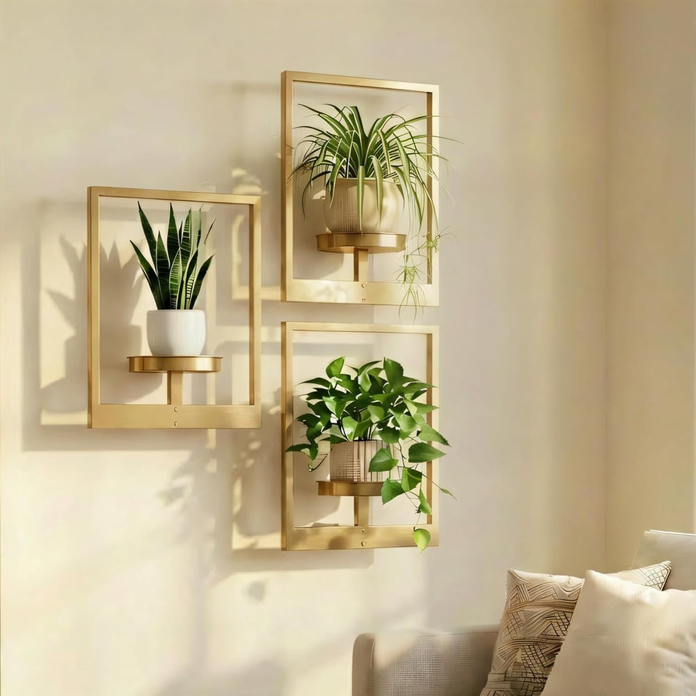 Picture Frame Wall Planters Set of 3, Modern Metal Hanging Shelves for Plants...