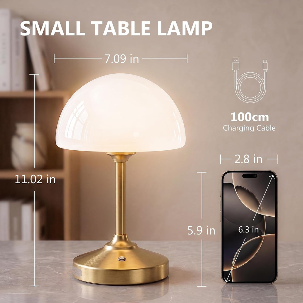 Dawnwake Table Lamp Cordless Lamp,5000mAh Rechargeble Battery Operated Lamp