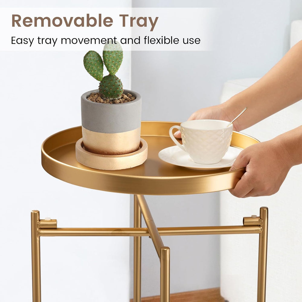danpinera 2 Tier End Table, Metal Round Side Table with Removable Tray