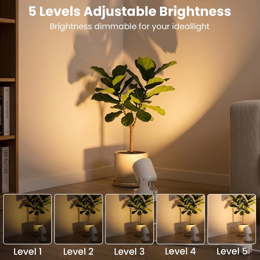 RGBW Uplights Indoor 6W,16 Static Colors,4 Dynamic Modes,5‑Level Brightness
