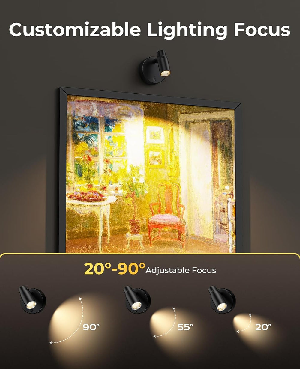 PESUTEN Zoomable Spot Lights Indoor, Rechargeable Picture Light with Remote, ...