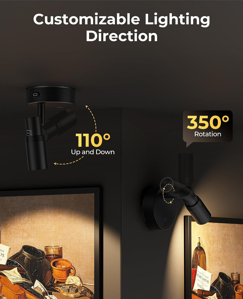 PESUTEN Zoomable Spot Lights Indoor, Rechargeable Picture Light with Remote, ...