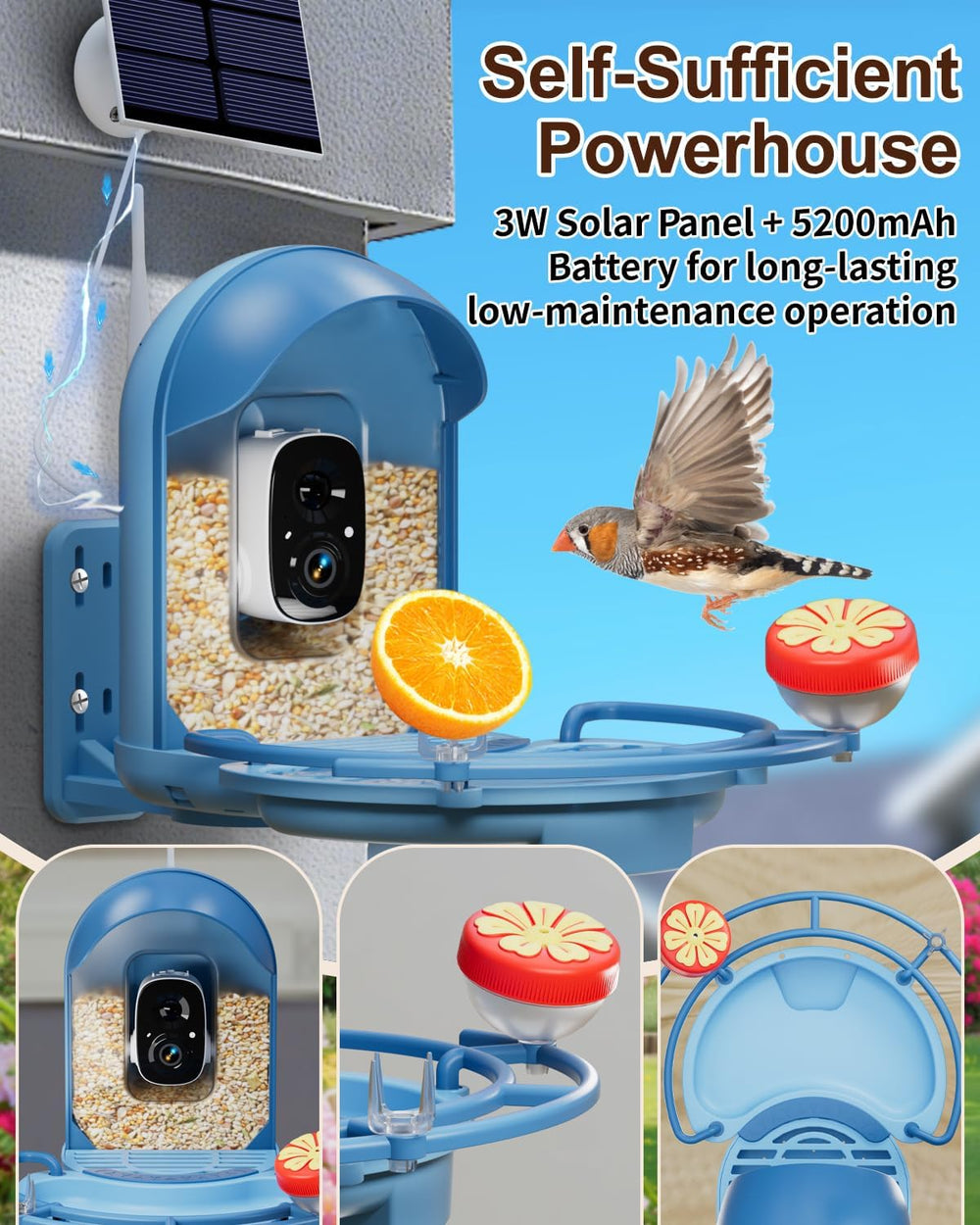 Bird Feeder with Camera, AI Recognition, Bird Bath, Solar Powered