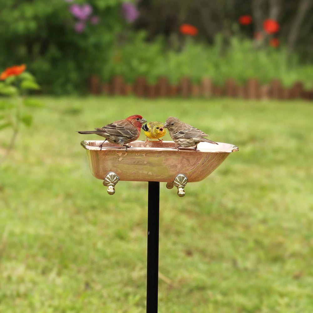 Pure Copper Bird Bath, Featuring Clawfoot Bathtub Design - Polished Copper by...