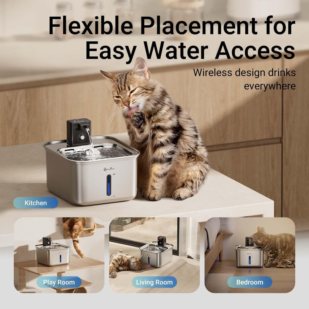 DownyPaws Cat Water Fountain Stainless Steel Wireless Automatic, Metal