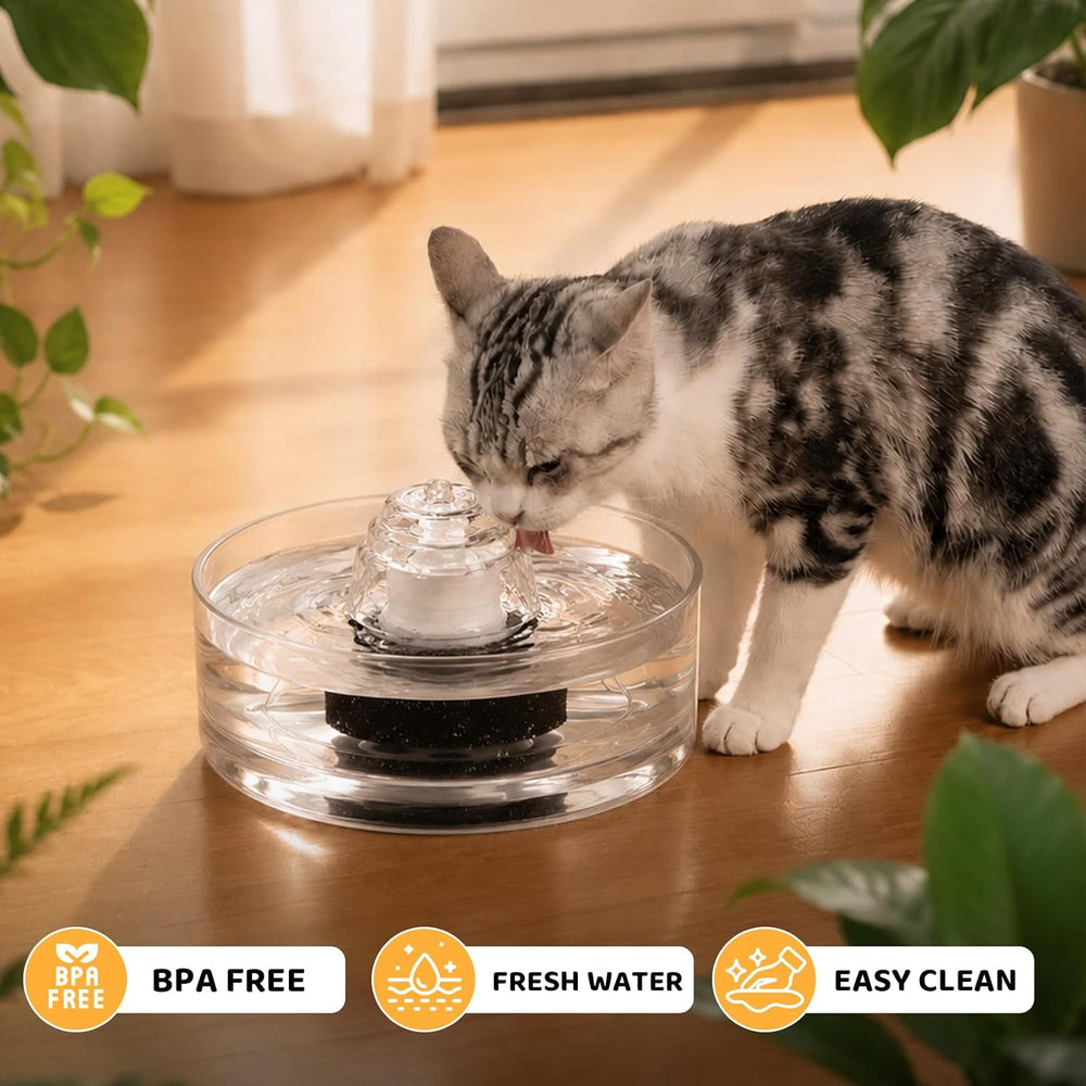 2.7L/91oz Glass Cat Water Fountain,Glass Water Fountain for Small Cats & ...